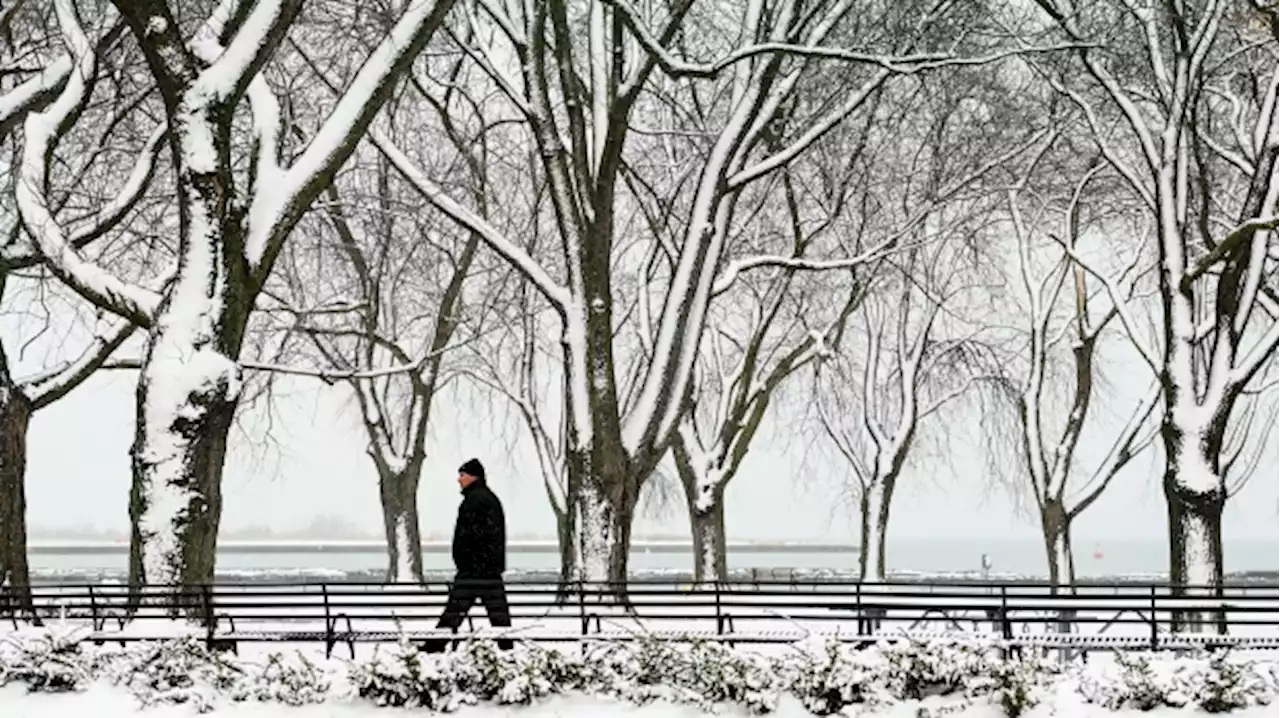 Toronto under winter weather travel advisory amid first snowfall of the season