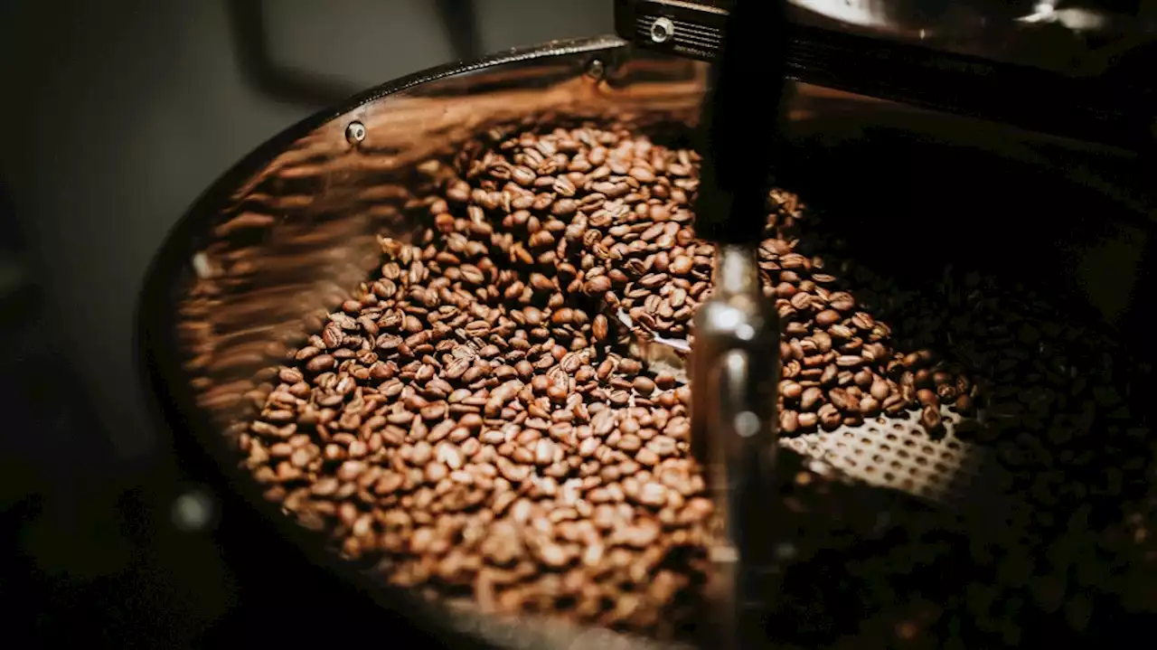 Mugnificent! Coffee prices expected to stabilize after seven-year high