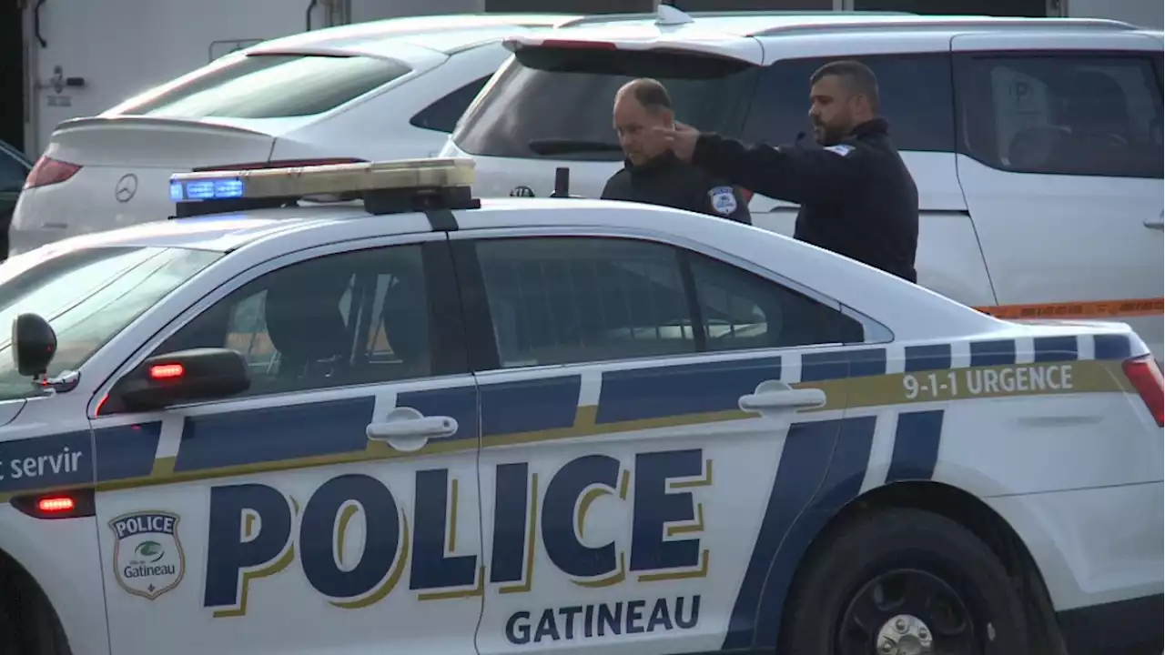 Two pedestrians and a dog injured after being hit by vehicle in Gatineau