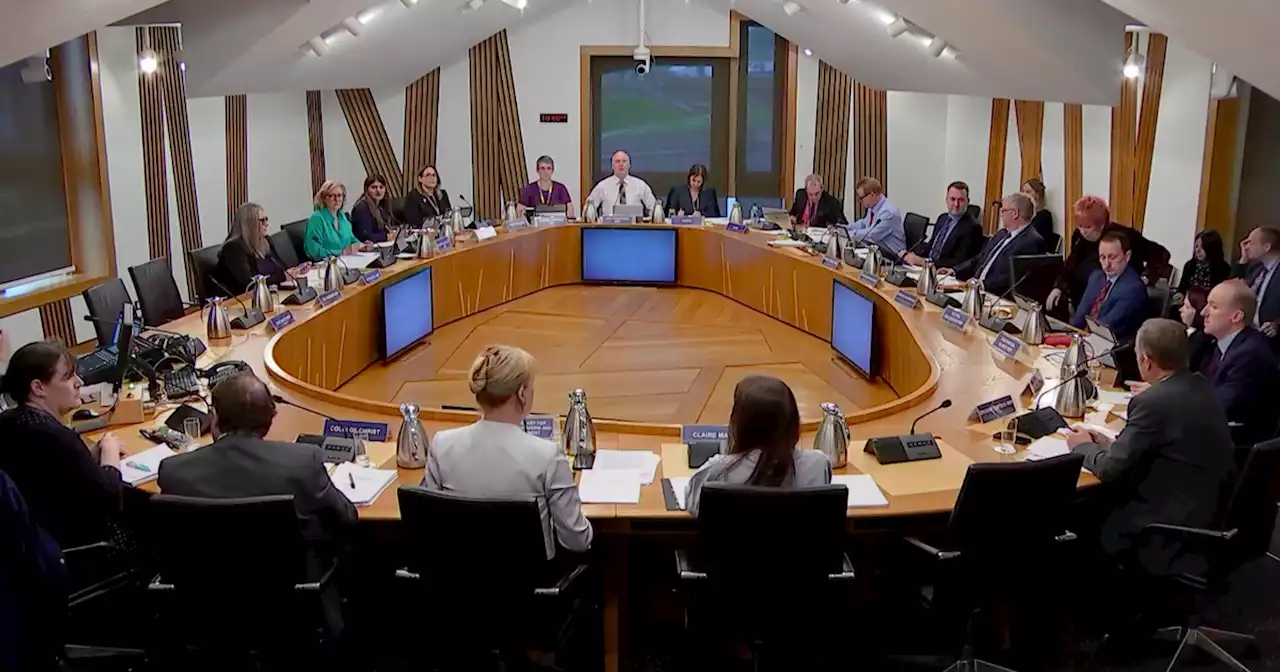 Woman 'asked to leave' Holyrood committee meeting for wearing suffragette scarf