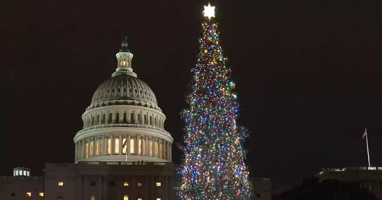 Capitol Christmas tree makes journey to Washington