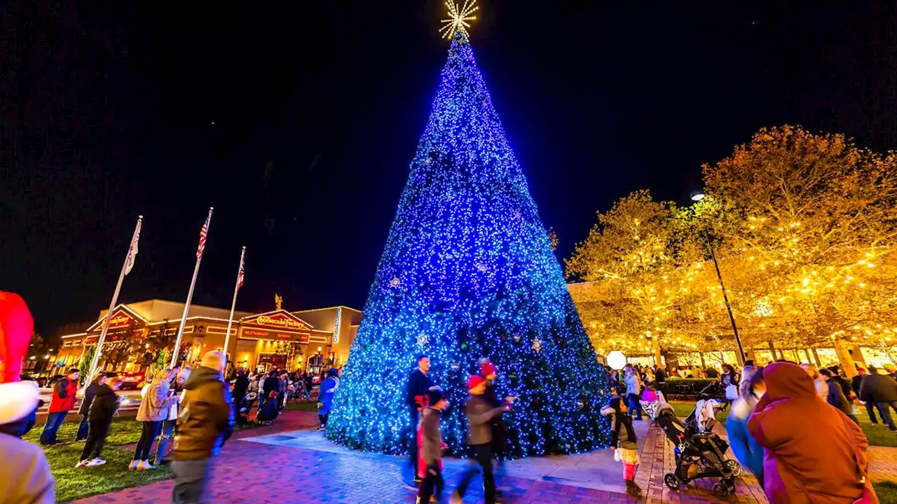 Holiday tree lightings, carriage rides and more bring Christmas cheer to Greater Columbus