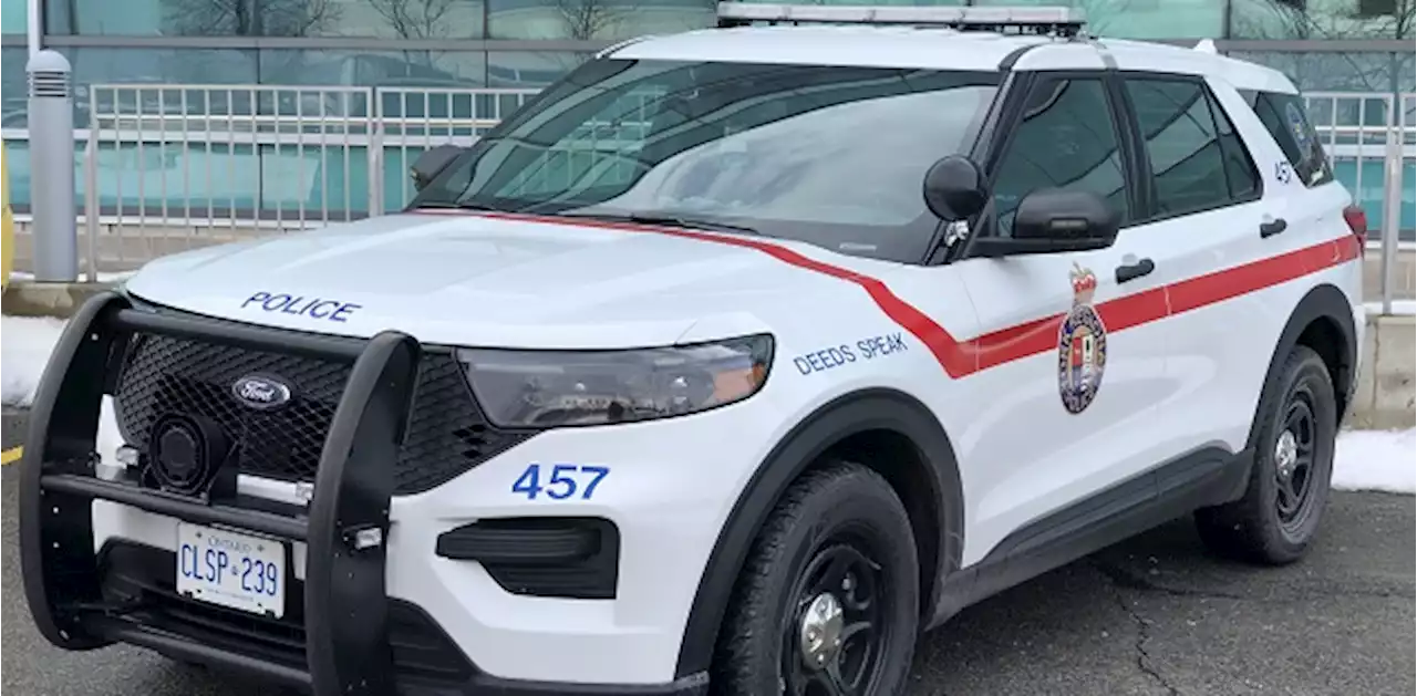 $1.4-million in vehicles recovered as police dismantle carjacking network operating in the GTA