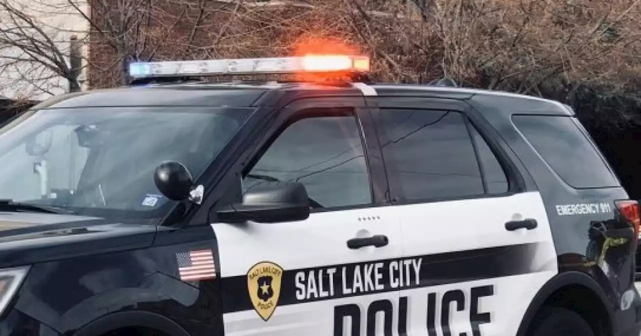 Man arrested for assaulting two strangers at Salt Lake City park