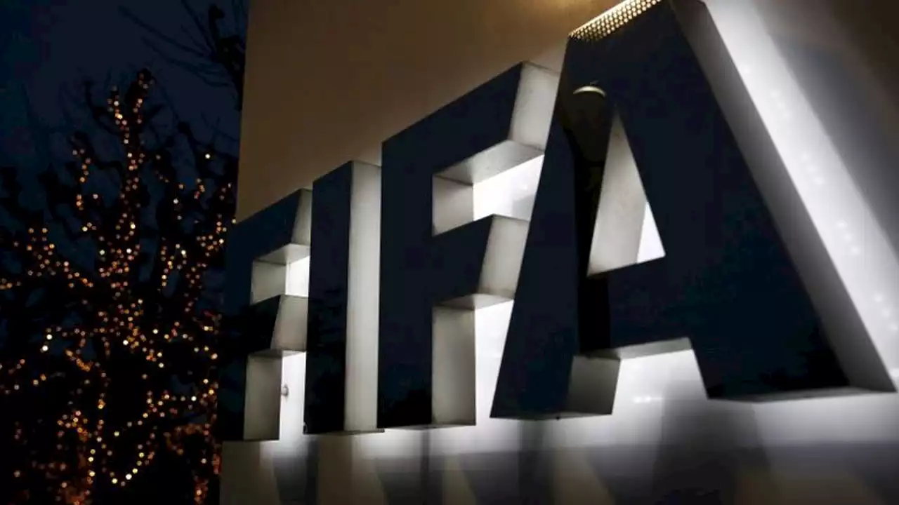 FIFA appeals for World Cup ceasefire in Ukraine | The Guardian Nigeria News - Nigeria and World News