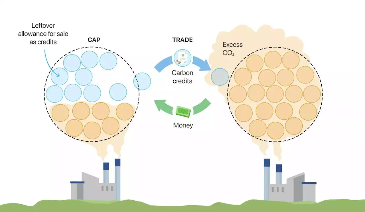 It's Time for Individual Carbon Credit Allowance | HackerNoon