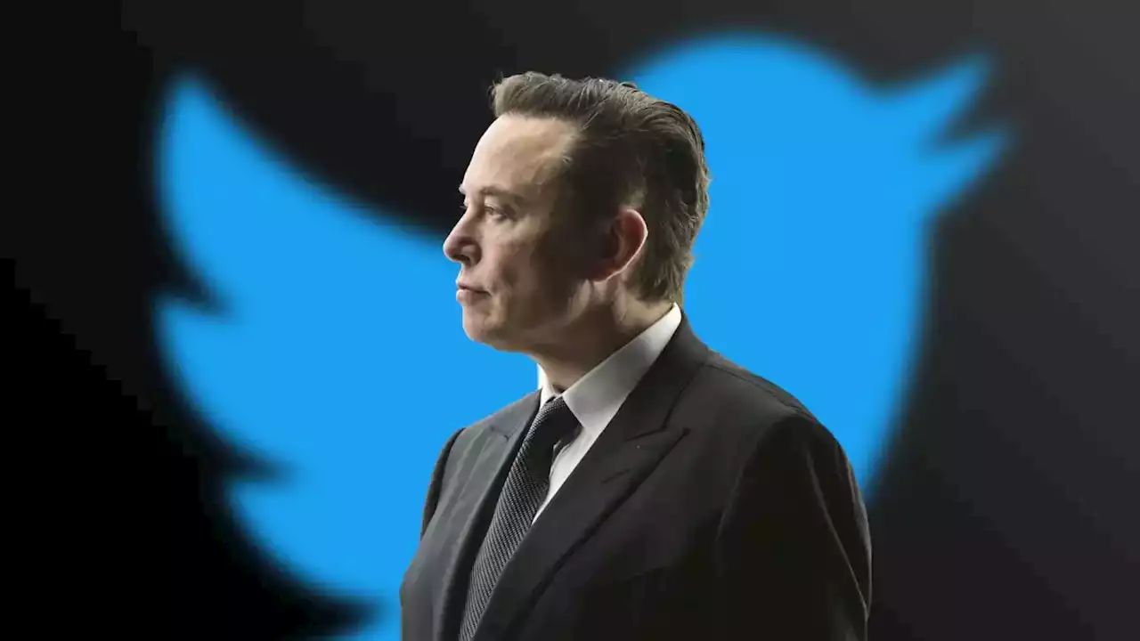 Elon Musk despide a varios empleados de Twitter que le criticaron en chats privados