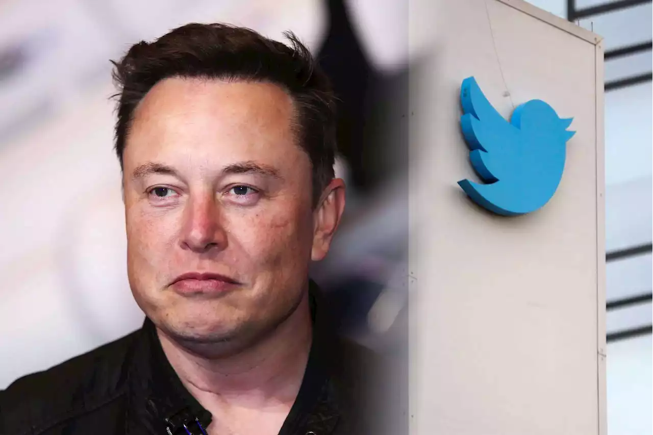 Elon Musk no abandonará las oficinas de Twitter hasta resolver todos los problemas