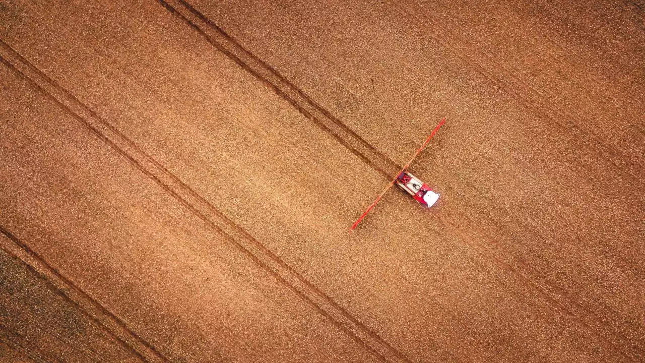 Whole Grain Initiative | Perché i cereali integrali sono importanti per l’economia - Linkiesta.it