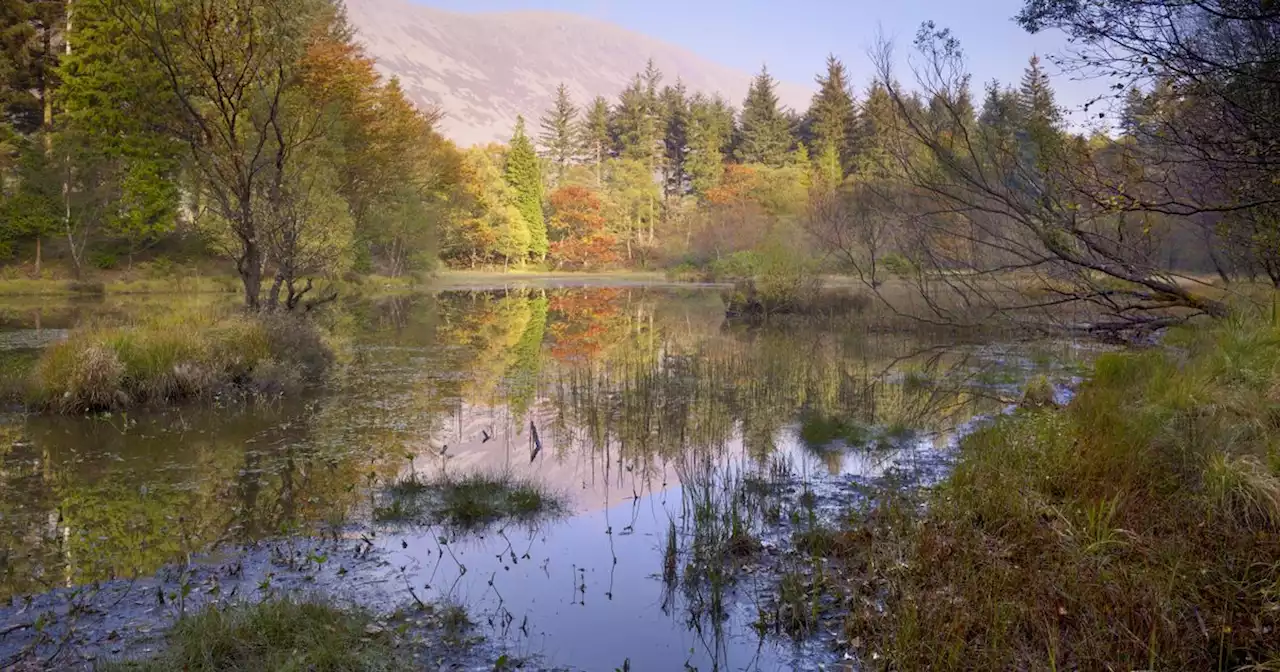 Thousands of Lake District acres to be turned into 'super nature reserve'