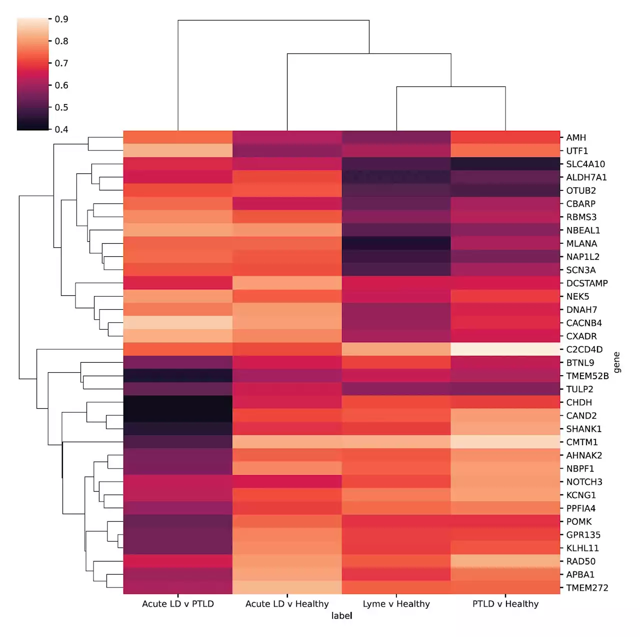 Genes to potentially diagnose long-term Lyme disease identified