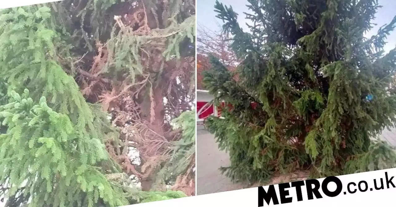 People reckon UK town just 'recycled Christmas tree from last year'