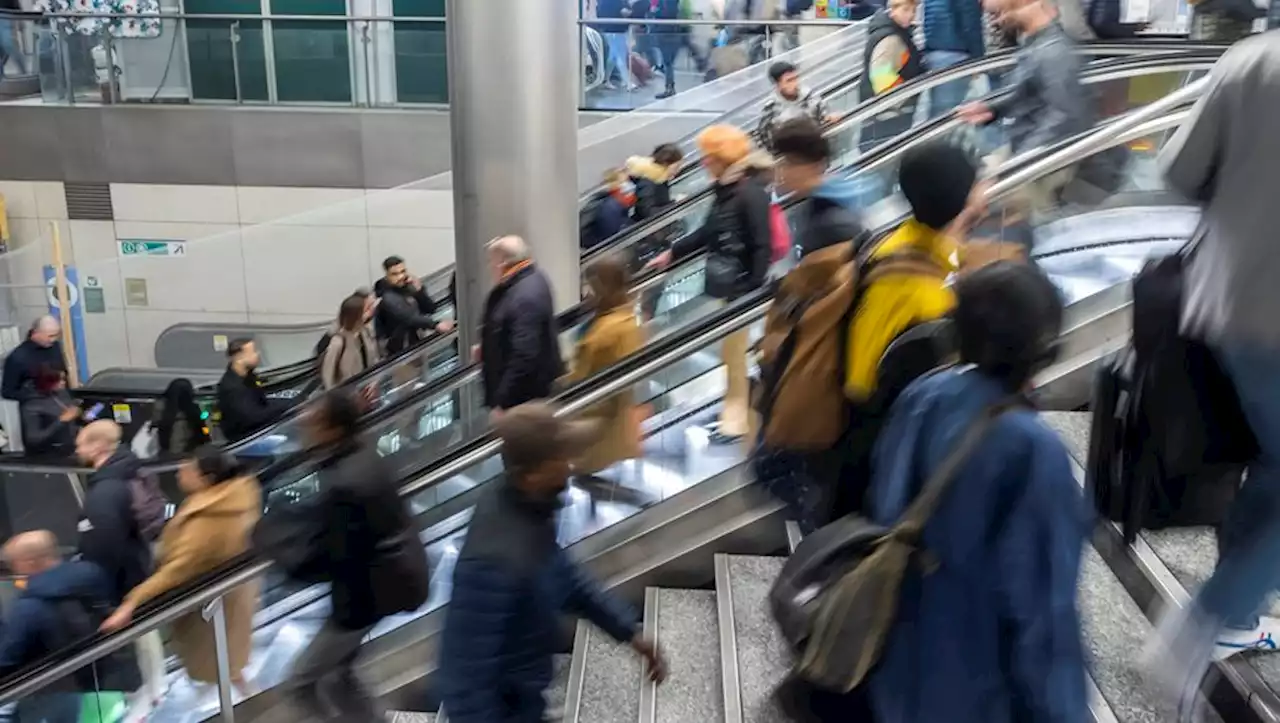 Huit milliards d'habitants sur Terre ce mardi : pauvreté, climat, retraites... ces nouveaux défis qui nous attendent