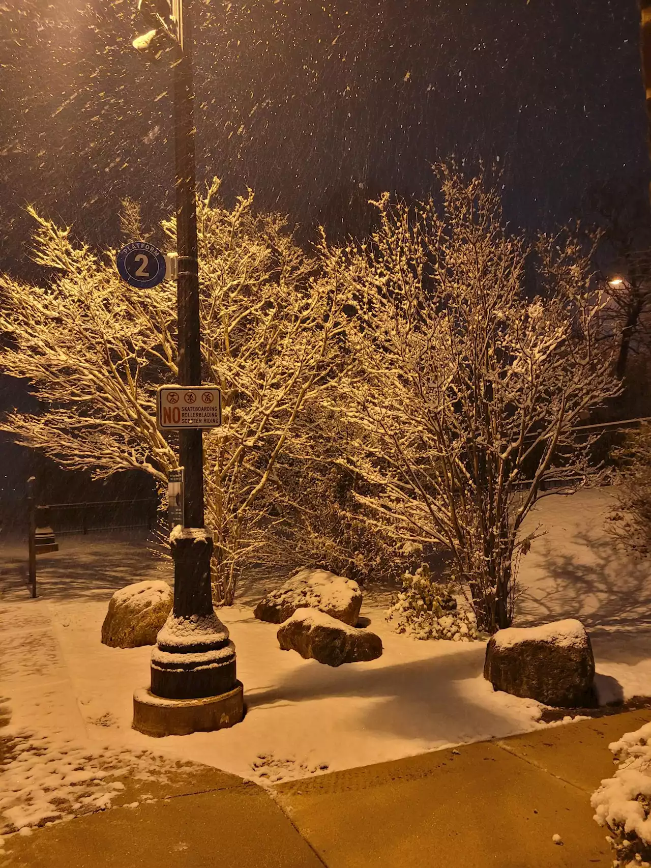 Photos: From Lisle to Gurnee, Here's What The First Snow Across the Chicago Suburbs Looks Like