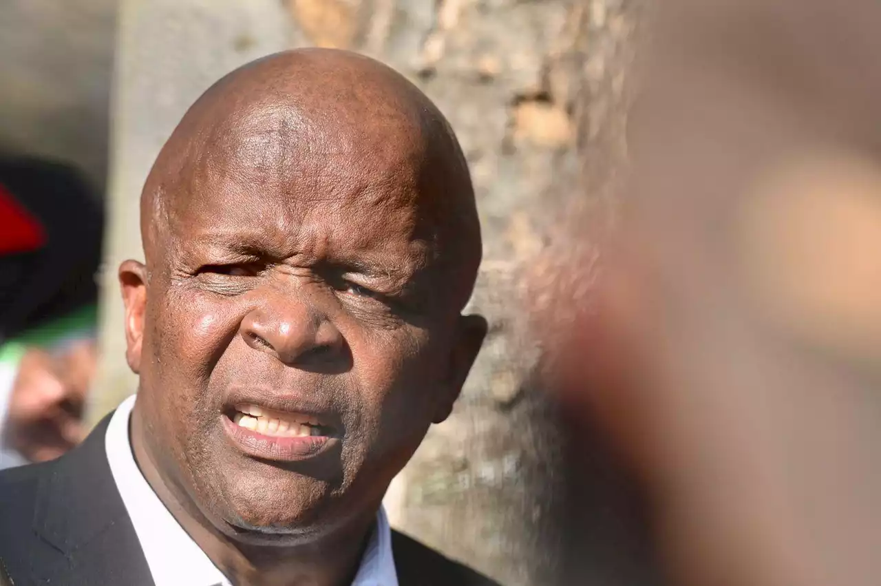 Scopa can summon Minister Gungubele on state security vetting at SOEs – legal opinion | Fin24