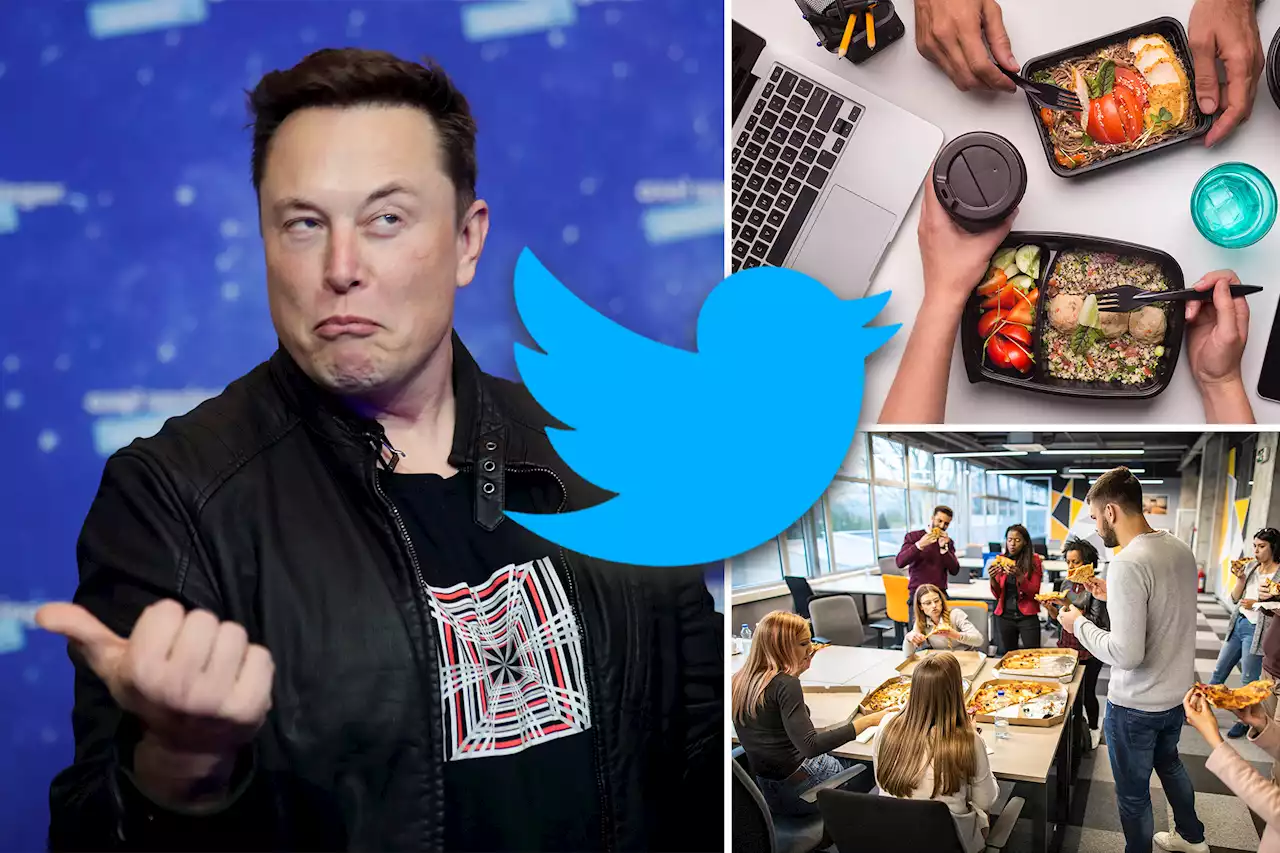 Musk plans to end free lunch at Twitter HQ, claims meals cost $13M a year