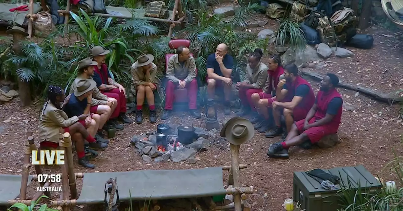 I'm A Celebrity camp is in 'fake jungle with hidden roof to keep set dry'