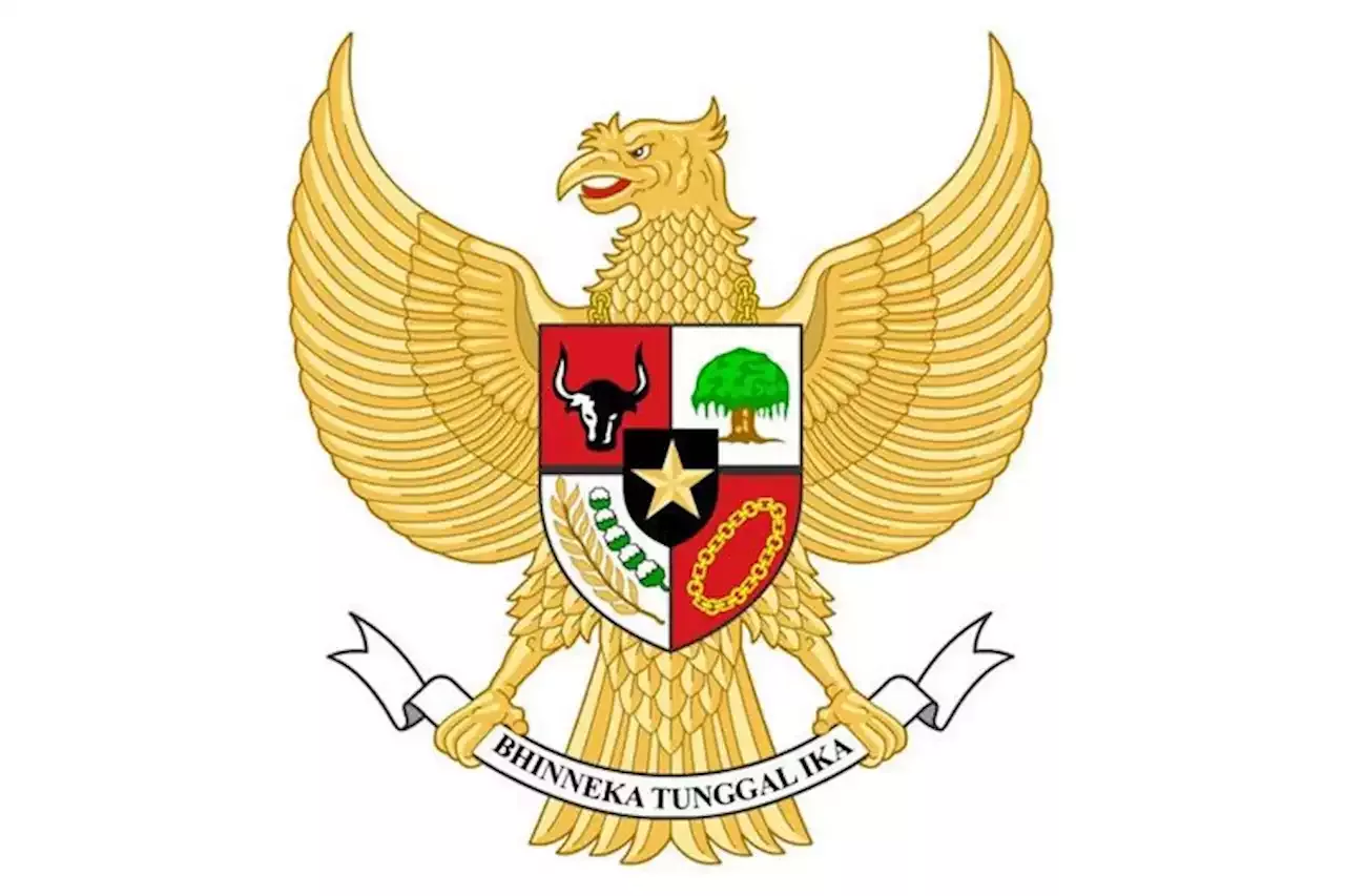 Sejarah Dan Asal-usul Lambang Negara Indonesia Garuda Pancasila ...