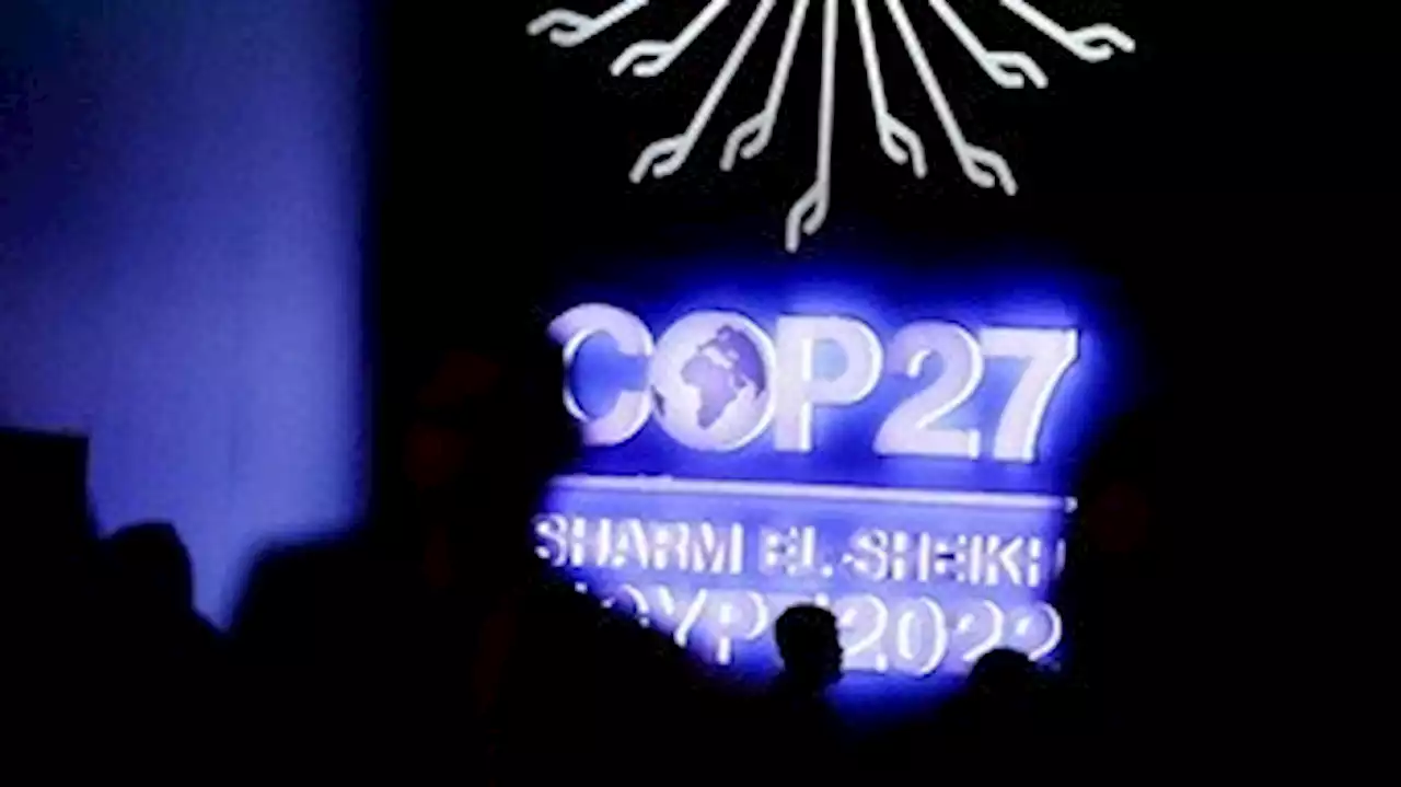 ONU investiga acusações de espionagem do Egito a participantes da COP27