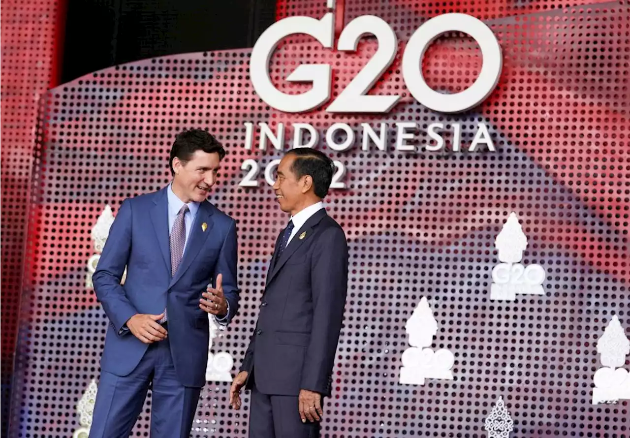 G20 summit opens in Bali with a plea for unity as Ukraine war tops agenda