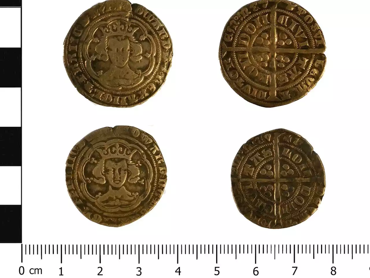 Ancient coins lost hundreds of years ago in Shropshire 'would have bought a goose and some candles'