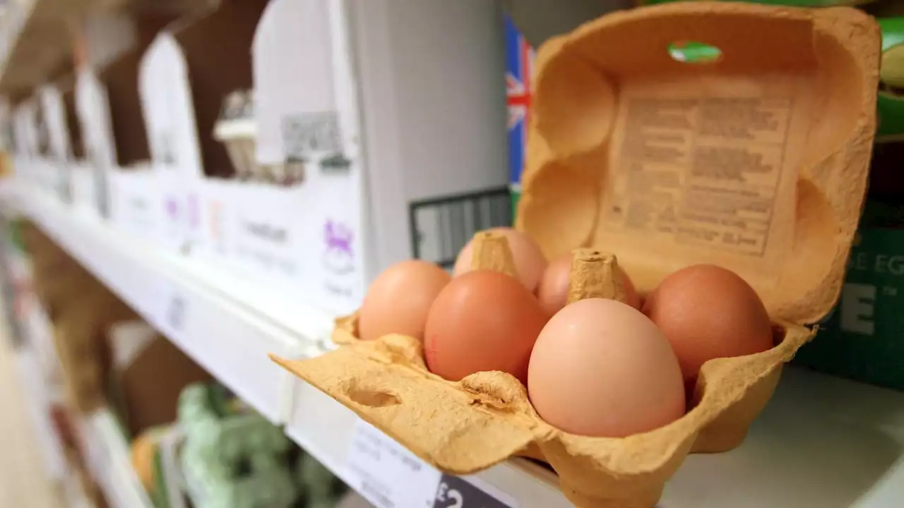 Fears of Christmas egg shortages amid farmers' rising costs and avian flu outbreak