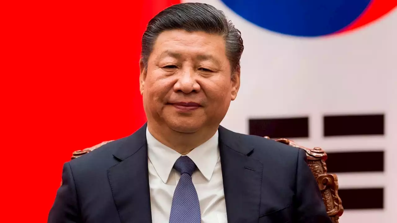 ‘No apologies’: Australia should ‘cede no ground’ in meeting with Xi Jinping