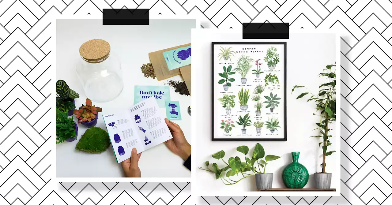 21 gift ideas for the plant parents in your life, from the practical to unique