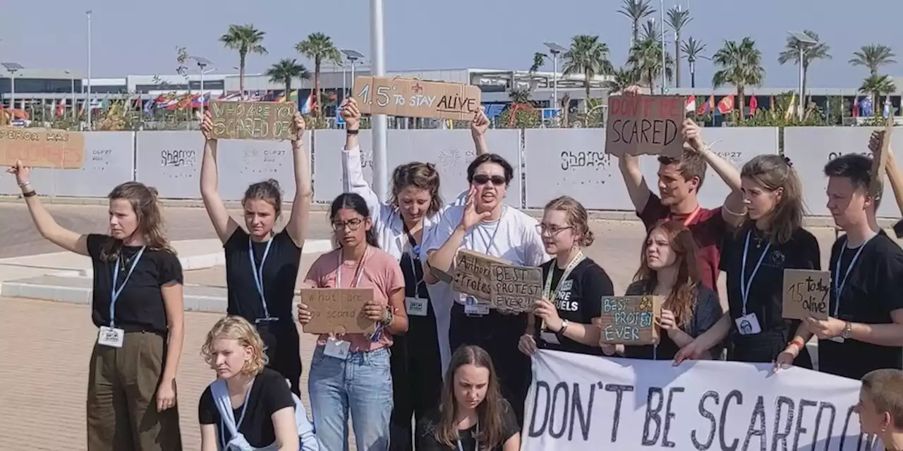 Demo-Beschränkungen auf der COP27: Fridays testen Protestzone