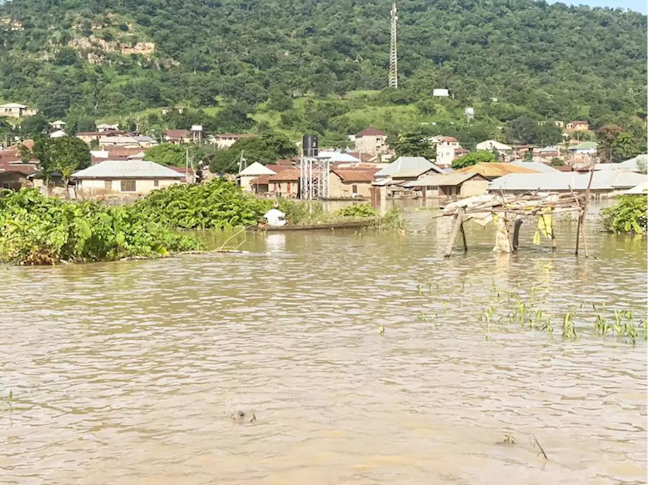 Floods: Lawmakers Urge Buhari to Request N100bn Supplementary Budget from National Assembly – THISDAYLIVE