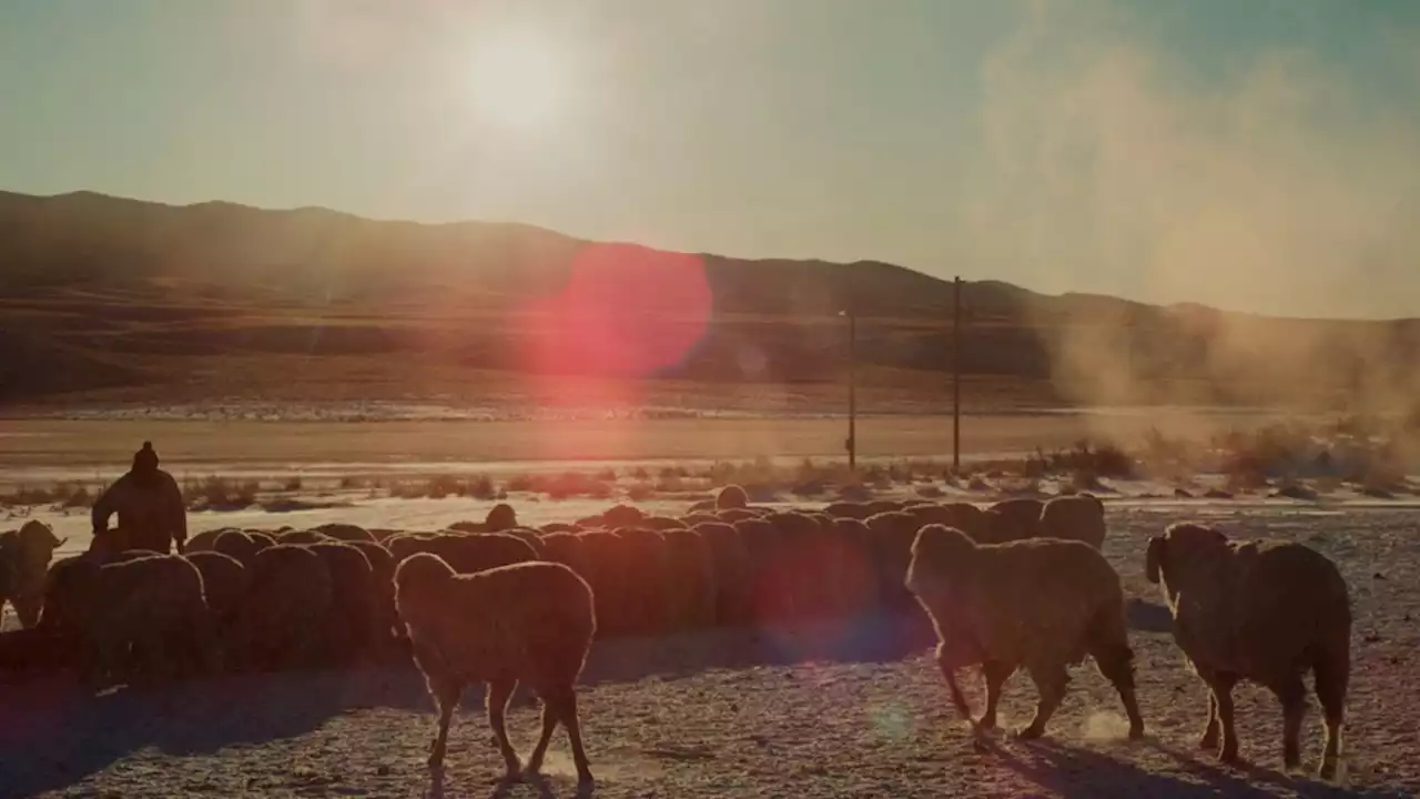 ‘The Great Basin’ Review: A Documentarian’s Intimate Portrait of Rural Nevada