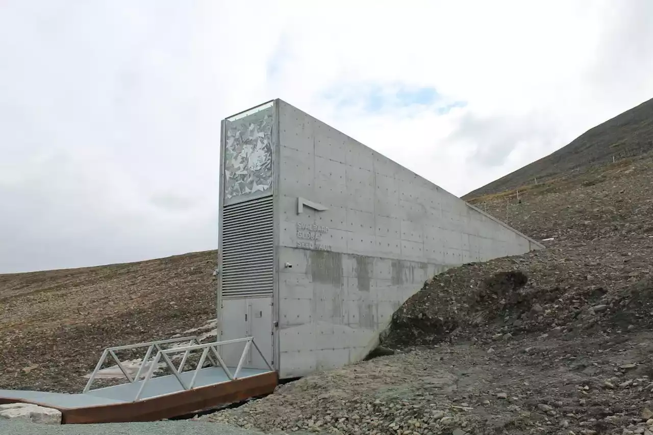 How a ‘Doomsday vault’ stows the seeds of our future against disaster