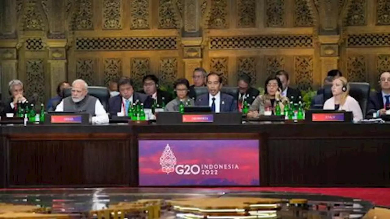 G20 leaders 'must end war' between Russia, Ukraine — Indonesia