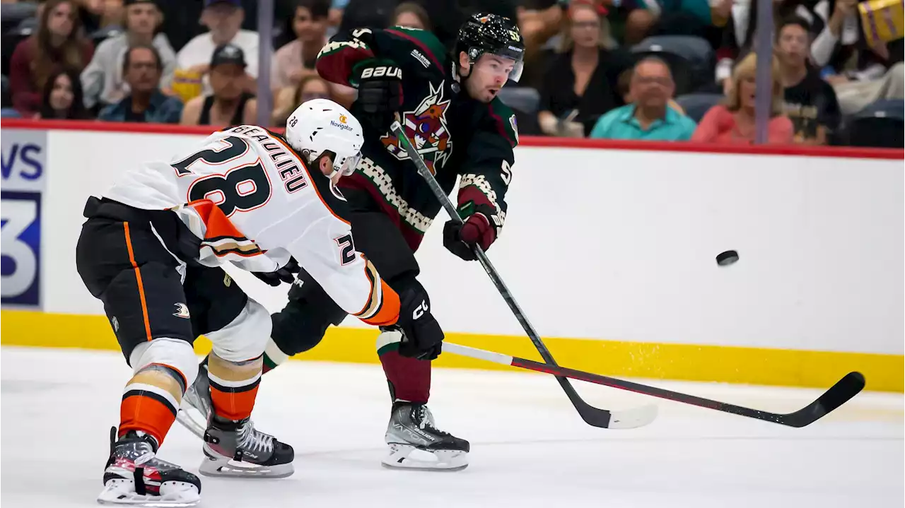 Roadrunners' Michael Carcone still contributing during slow start to season