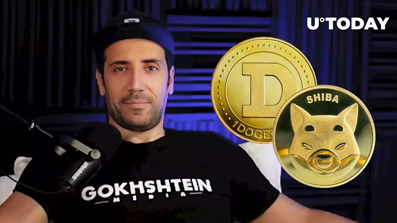 I'll Keep Getting DOGE and SHIB, Other Meme Coins in Question: David Gokhshtein