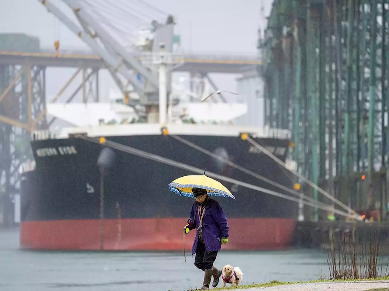 How something as common as rain in Vancouver can send shockwaves through Canada's entire food system