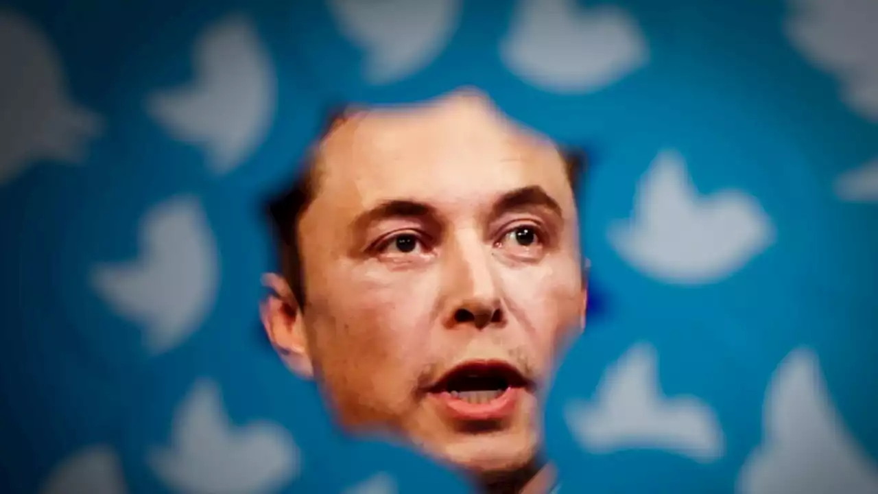 Elon Musk prévient que Twitter pourrait faire faillite sans liquidités supplémentaires