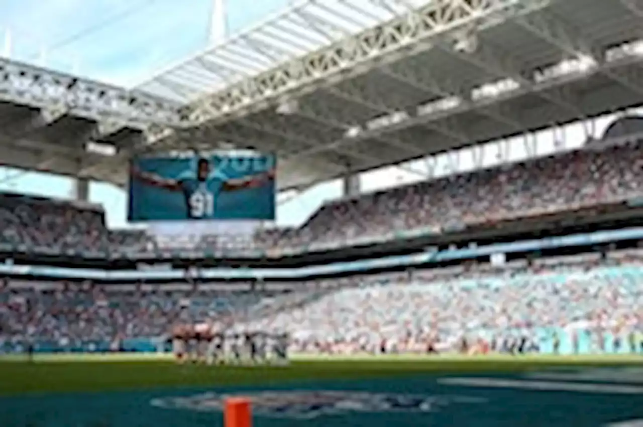 Dolphins shady home-field advantage makes opponents hot