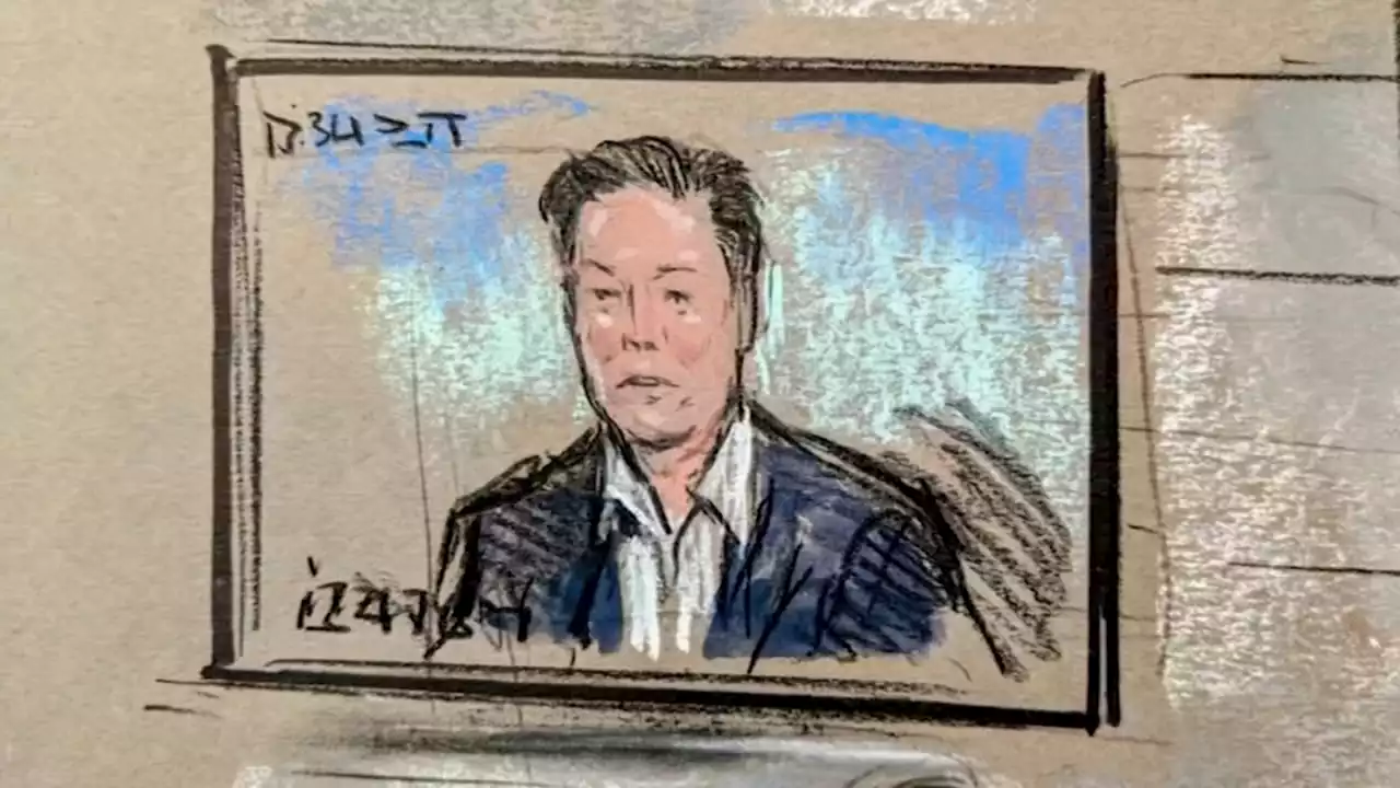 Tesla board chair testifies in Elon Musk compensation lawsuit in Delaware