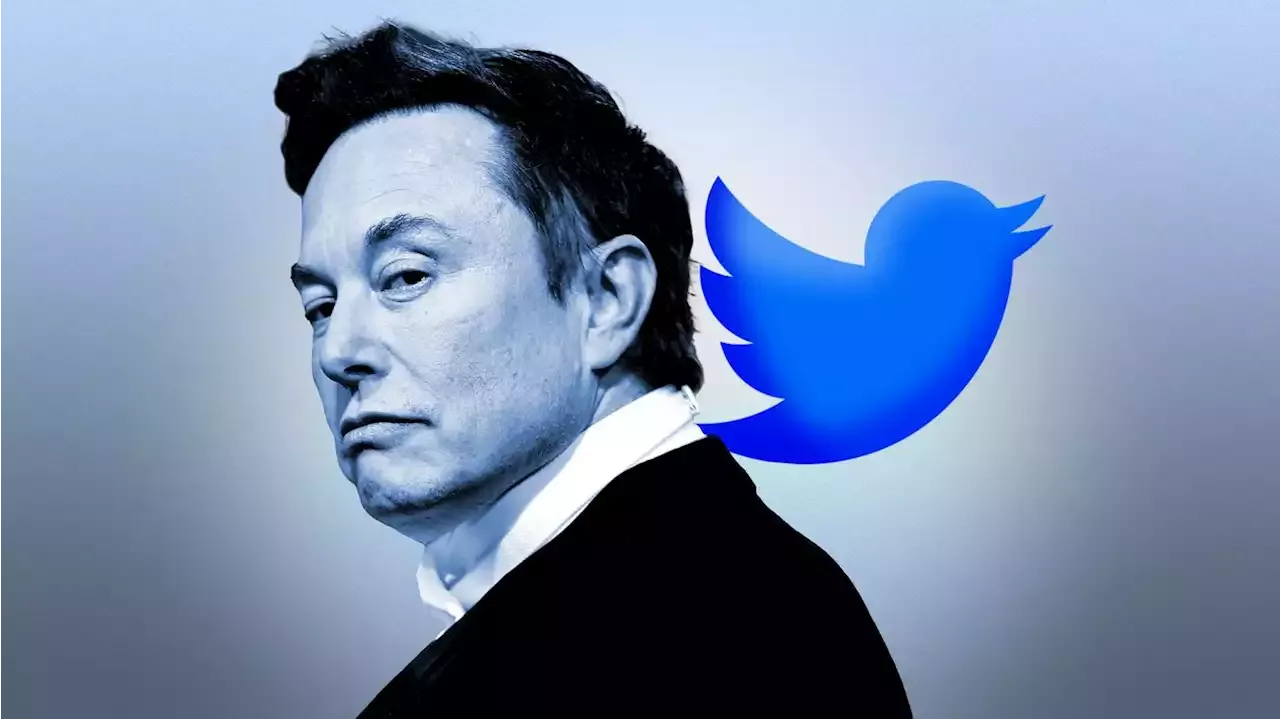 Twitter Employees Plan Quit After Elon Musk’s ‘Extremely Hardcore’ Work Ultimatum!