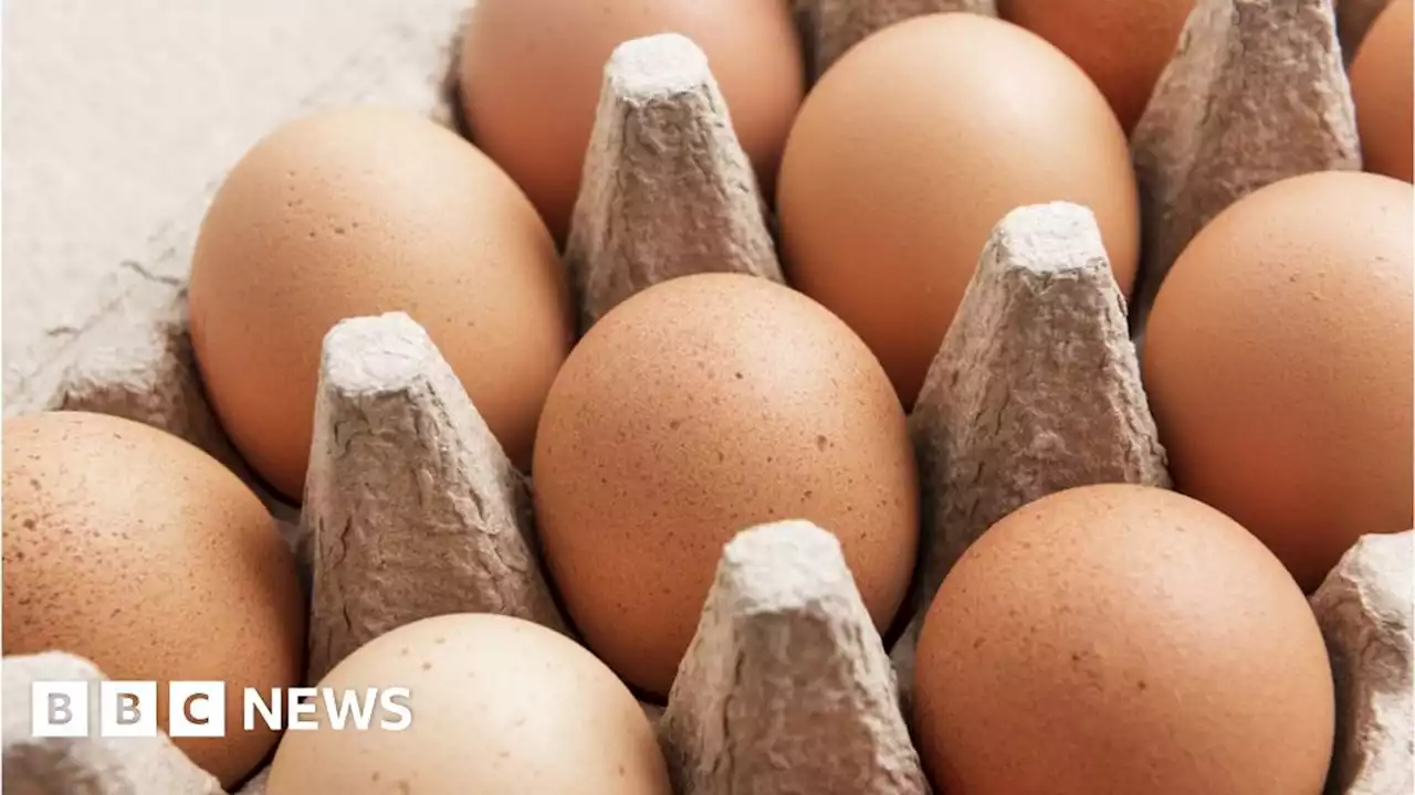 Asda and Lidl limit egg sales after supply issues