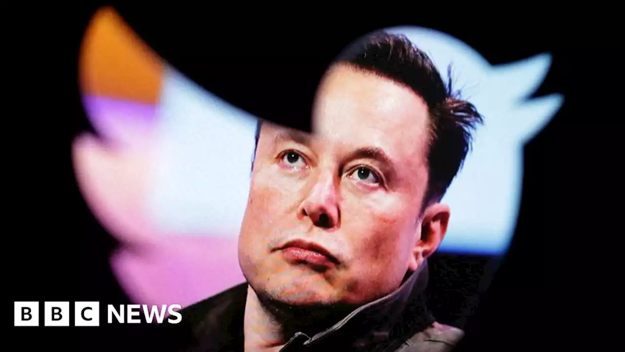 Elon Musk tells Twitter staff to work long hours or leave