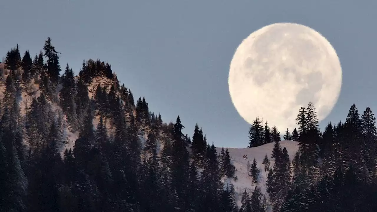 Was wäre, wenn es den Mond nicht gäbe?