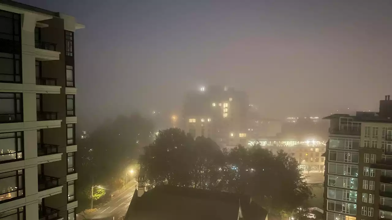 Fog advisory in place for Greater Victoria and eastern Vancouver Island