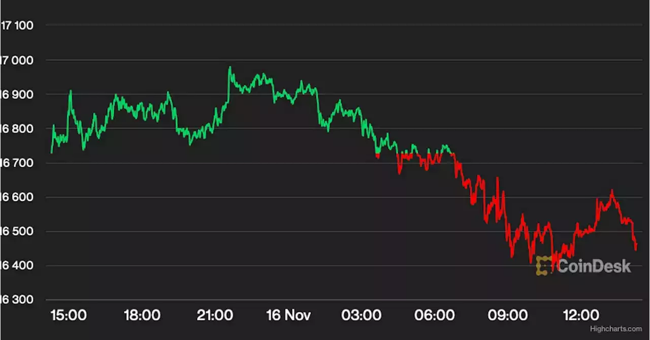 Crypto Market Slides After Genesis Withdrawal Halt, and Big Investors Hunt for Bargains