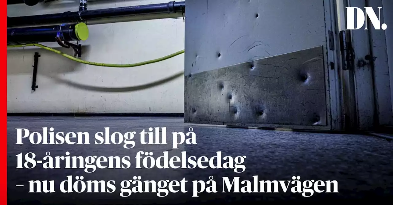 Polisen slog till på 18-åringens födelsedag – nu döms gänget på Malmvägen