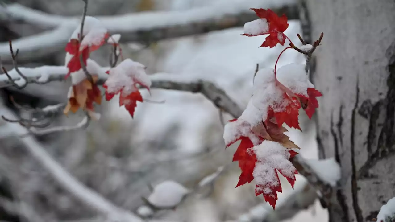 Denver Weather: Snow on the way for the metro area with freezing temperatures