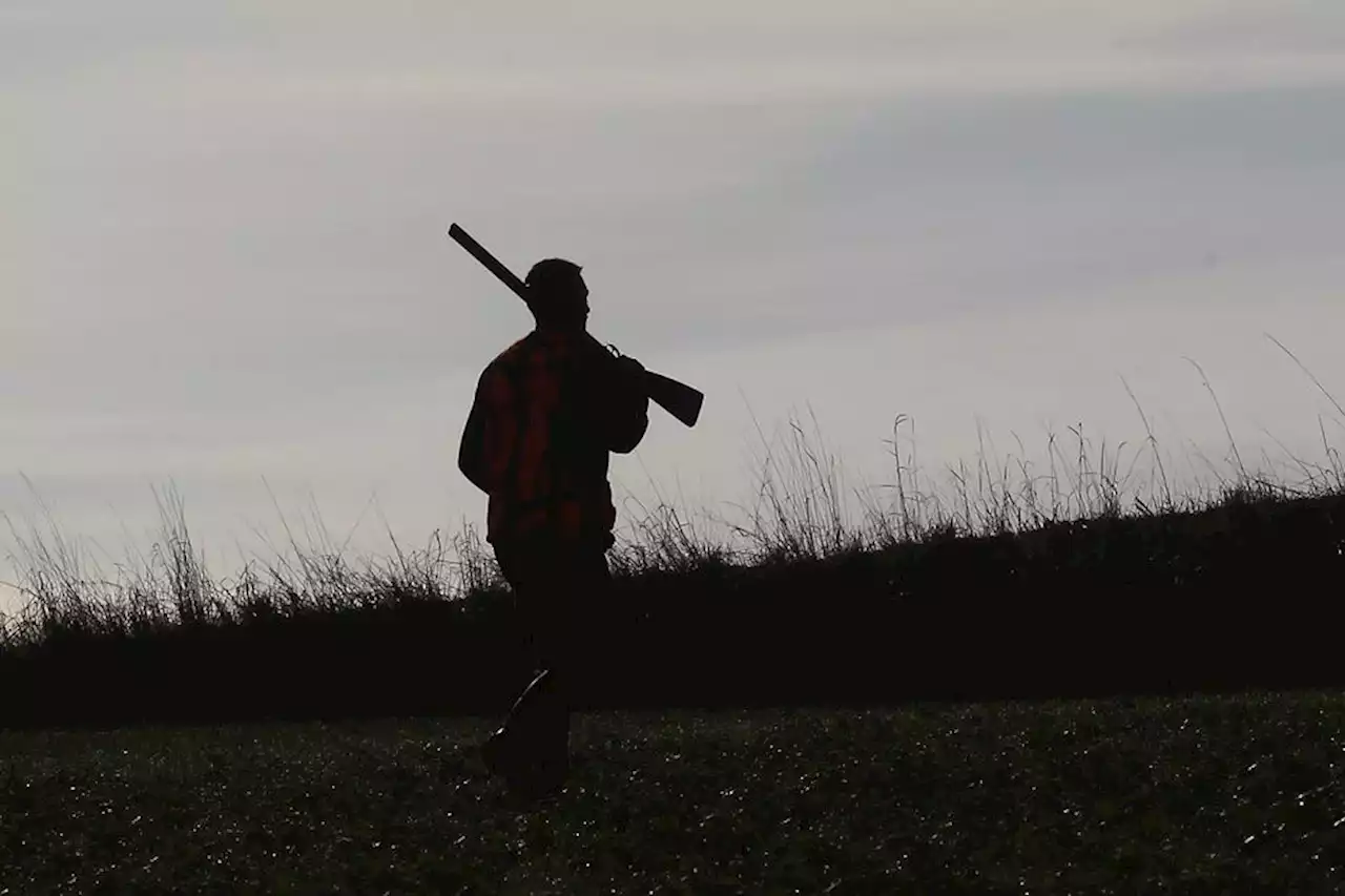 Carpentras : un chasseur mis en examen pour homicide involontaire