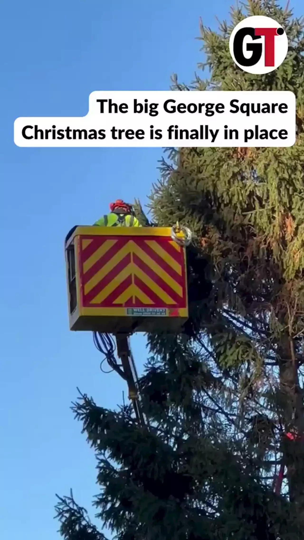 Christmas tree goes up on George Square