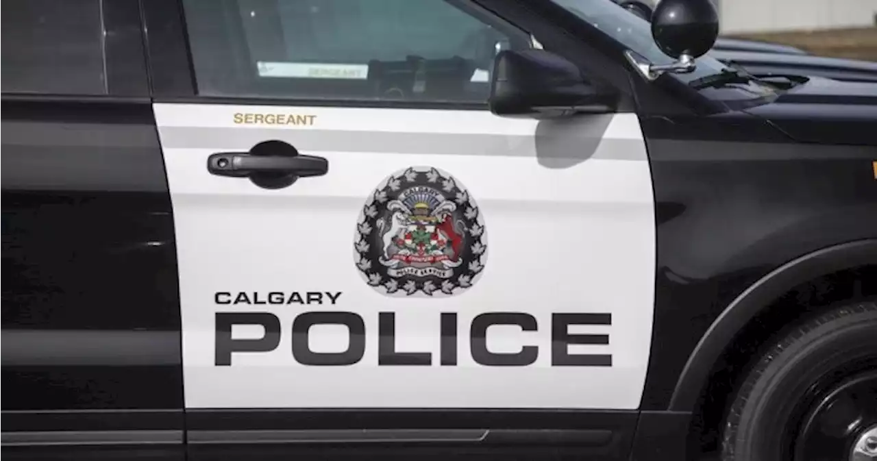 Calgary police charge man in connection with 10 downtown assaults - Calgary | Globalnews.ca